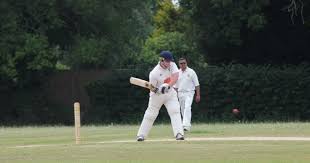 Image result for Rayleigh Cricket Club