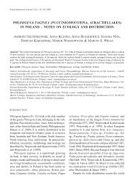 Attēlu rezultāti vaicājumam “Phleogena faginea young”