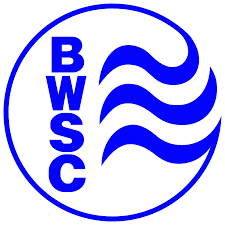 Image result for Bracknell Synchronised Swimming Club