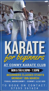 Image result for Ynys Mon Shukokai Karate Club, North Wales