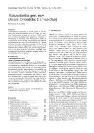 Attēlu rezultāti vaicājumam “Belbodamaeus sp.”