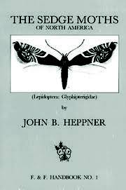 Attēlu rezultāti vaicājumam “Glyphipterigidae”