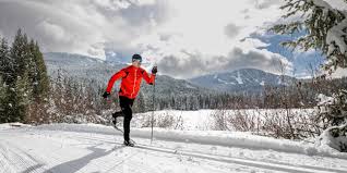 Image result for Scandinavian slope and cross country skiing