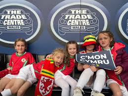 Image result for Penclawdd A F C