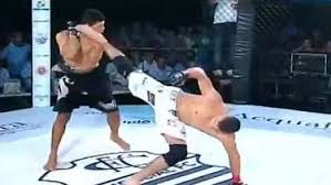 Image result for Rabo de Arraia Capoeira