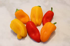 Afbeeldingsresultaat voor aji dulce sweet pepper