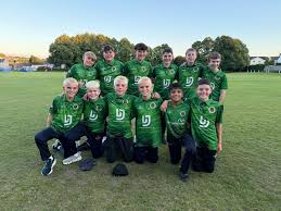 Image result for Ammanford Cricket Club