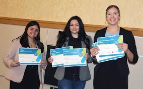 Image result for Pitch marking blog