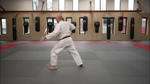 Image result for Seiki Juku Karate Club
