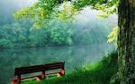 Nature's Hidden Gems | TMAC FITNESSTMAC FITNESS