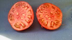 Afbeeldingsresultaat voor caspian pink tomato