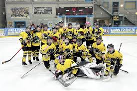 Image result for Widnes Ladies Hockey Club