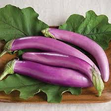 Afbeeldingsresultaat voor fengyuan purple eggplant