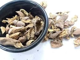 Attēlu rezultāti vaicājumam “Badhamia bethelii”