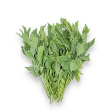 Image result for Liebstöckel