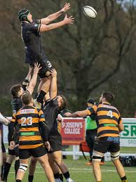 Image result for Colchester Rugby Football Club