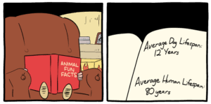 Image result for Kea Smbc