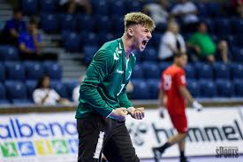 Image result for Deva Handball Club