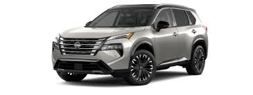 Image result for silver sa