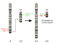 <b>Philadelphia chromosome</b>