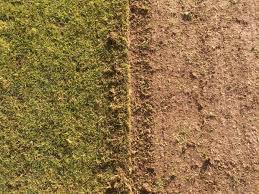 Image result for North Runcton Cc