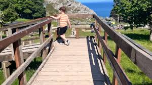 Image result for Kinmel Bay / Towyn Bowling Club