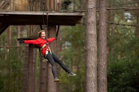 Image result for The Go Ape Experience (Swinley Forest)