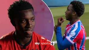 Image result for Crystal Palace Netball Club