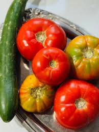 Afbeeldingsresultaat voor millionaire tomato