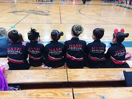 Image result for Fusion twirlers