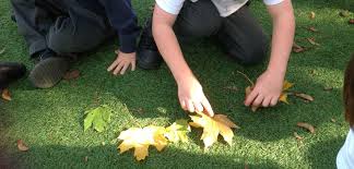 Image result for Ditton Football Club