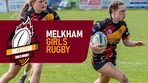 Image result for WOODRUSH RFC MINI and JUNIOR ~ & Senior