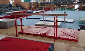 Image result for Uckfield Gymnastics Club