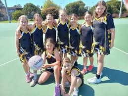 Image result for Cheshunt Youth Netball Club