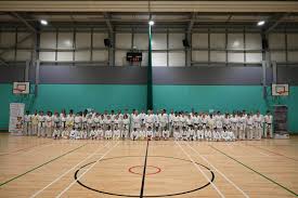 Image result for COURT FIELDS karate Academy