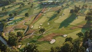 Image result for Merrow Cricket Club