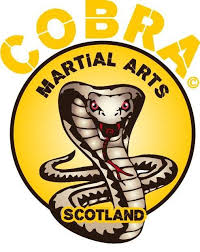 Image result for Cobra Karate Club