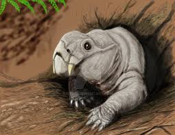 Attēlu rezultāti vaicājumam “Diderma roanense”