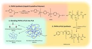 Image result for backmodel terzi