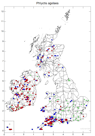 Attēlu rezultāti vaicājumam “Phlyctis agelaea”