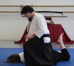 Image result for Bakewell Aikido Club