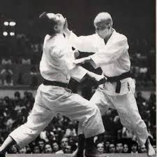 Image result for kyokujitsu Kai