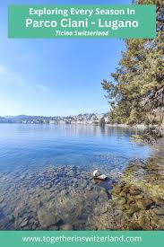 Image result for "Parco Ciani"