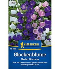 Image result for Marienglockenblumen