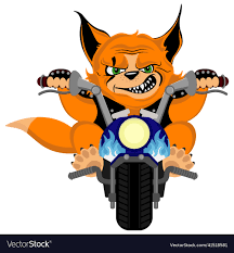 Image result for biker fox