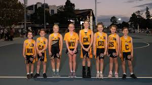 Image result for Newdigate Netball Club
