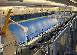 Image result for Stevenage Swimming Club