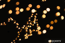 Image result for bokeh