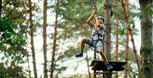 Image result for Go Ape! Leeds Castle