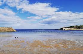 Image result for Tyneside Loipers